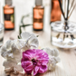 Vanilla, Patchouli, Sandalwood Fragrance Oil - Reformulated-NI Candle Supplies LTD